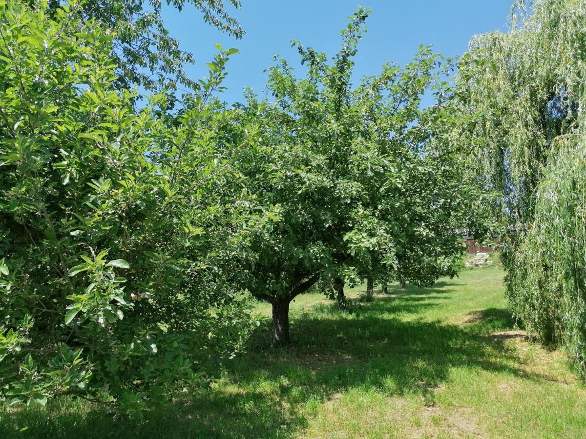 Le Noyer Bed & Breakfast Rougnat Eksteriør bilde