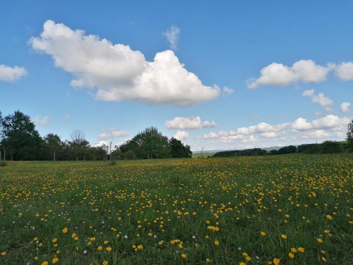 Le Noyer Bed & Breakfast Rougnat Eksteriør bilde